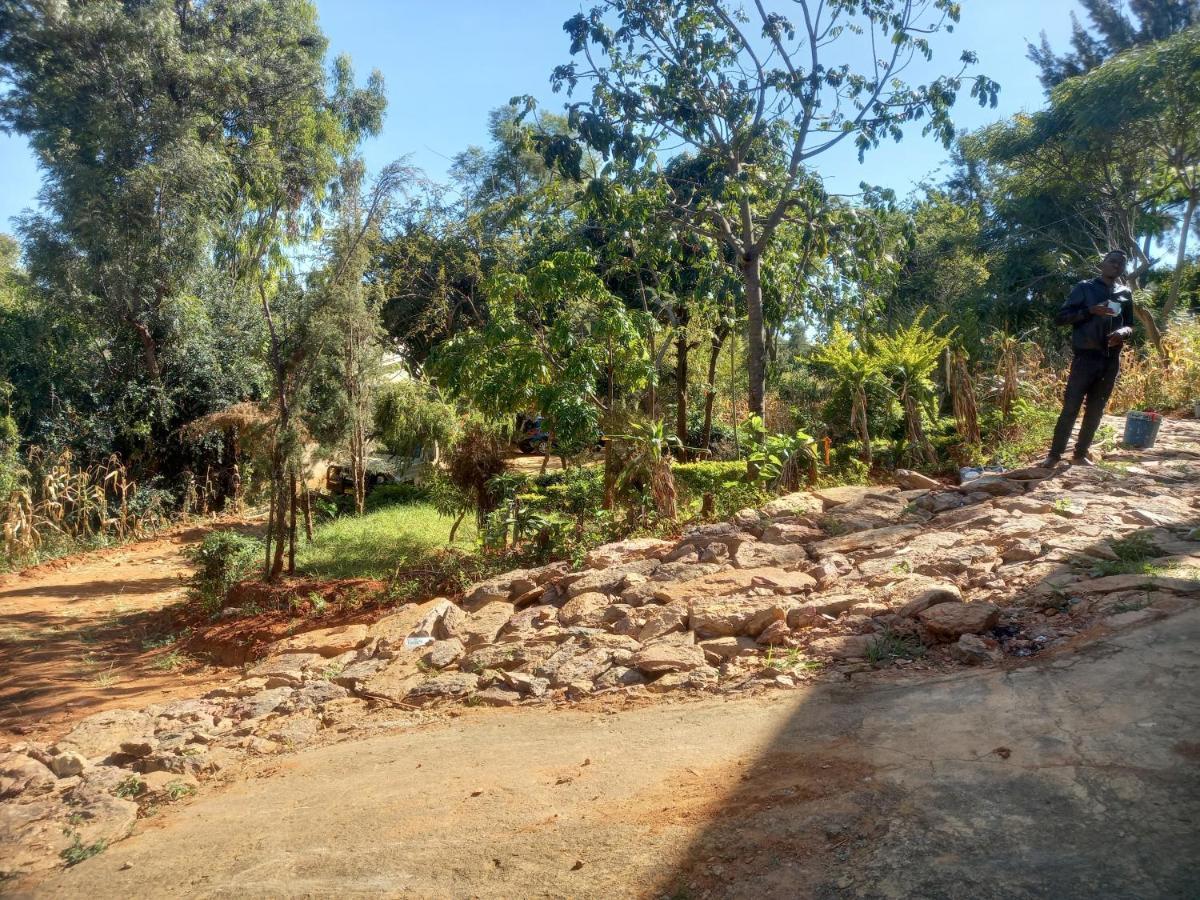 Emmy Backpackers Hostel Iringa Exterior foto